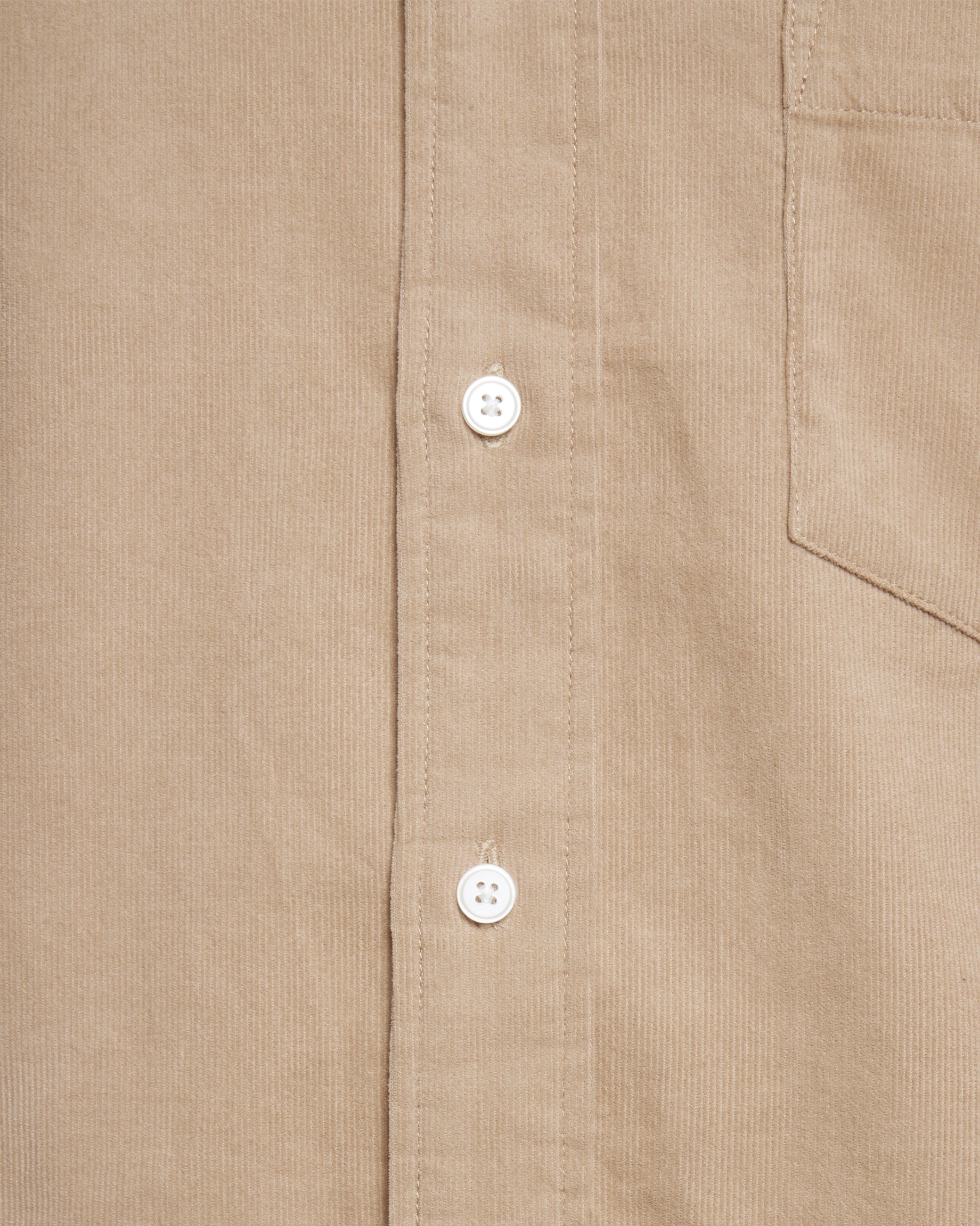 Colt long sleeved shirt 3758 - Chinchilla