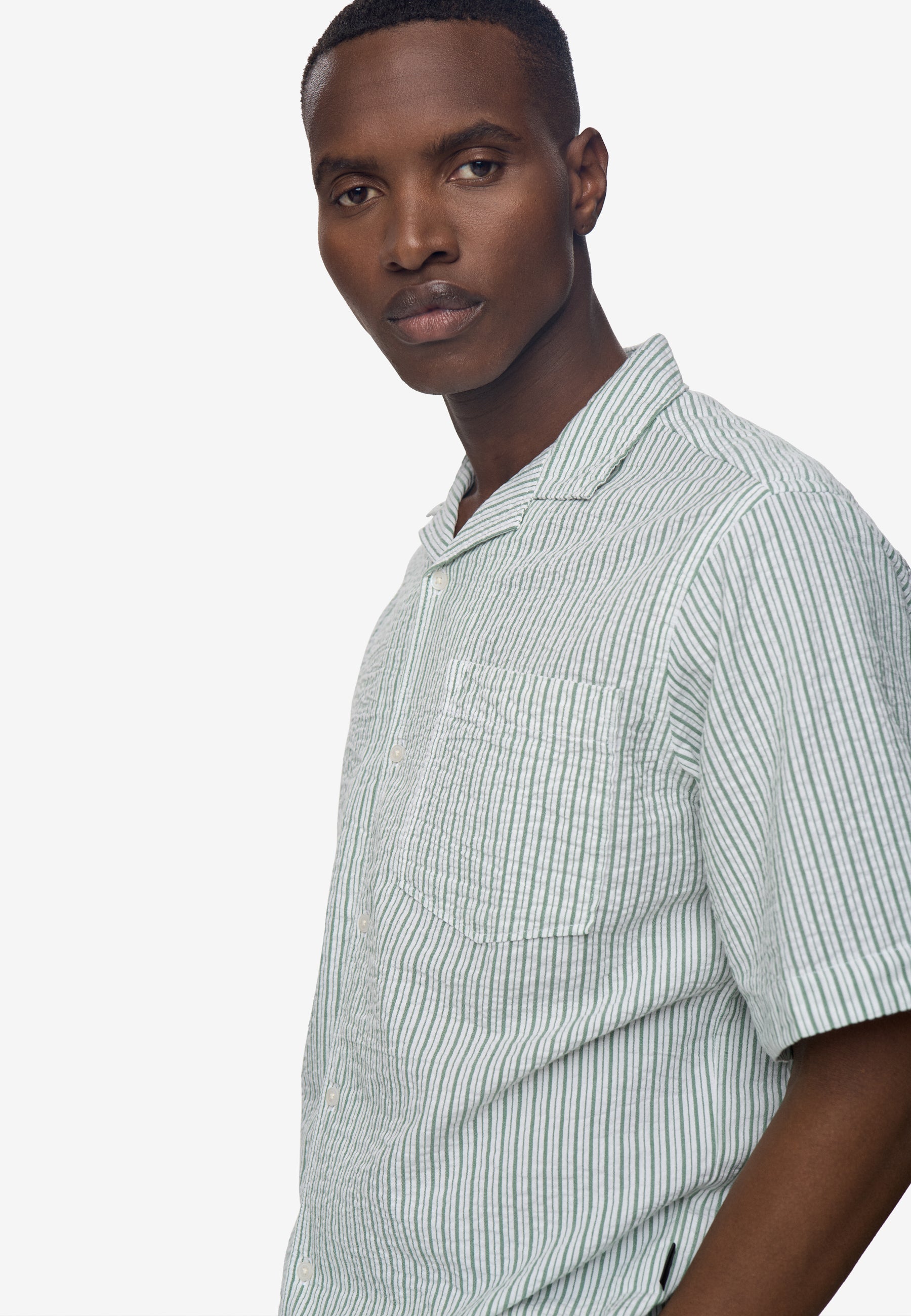 Hayden reg ss strp shirt 4686 - Dark ivy